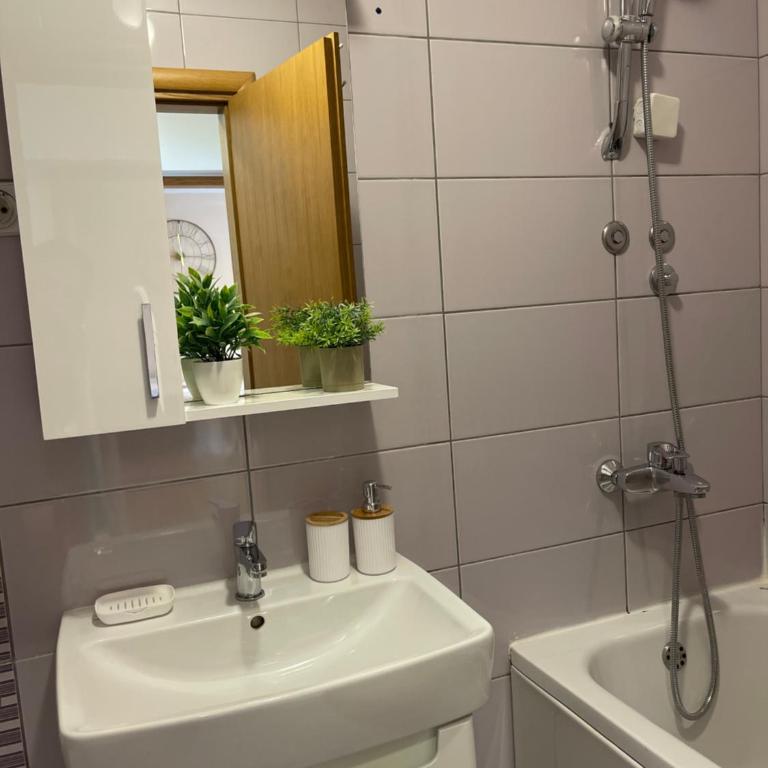 Stan na dan Katarina - Apartman sa 1 Spavaćom Sobom - 33