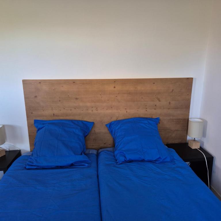 Neige et confort - Appartement - 2