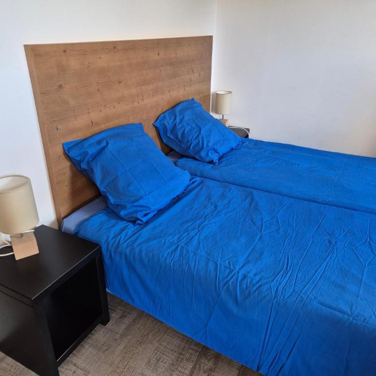 Neige et confort - Appartement - 22