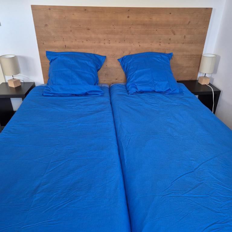 Neige et confort - Appartement - 23