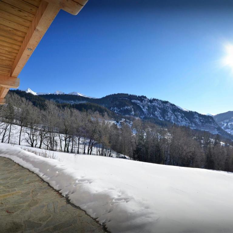 Chalet Polanka - OVO Network - Chalet - 18