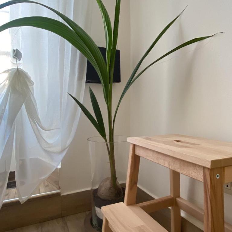 Dimora Vaticano Rome Apartments - Appartamento con 1 Camera da Letto - 33