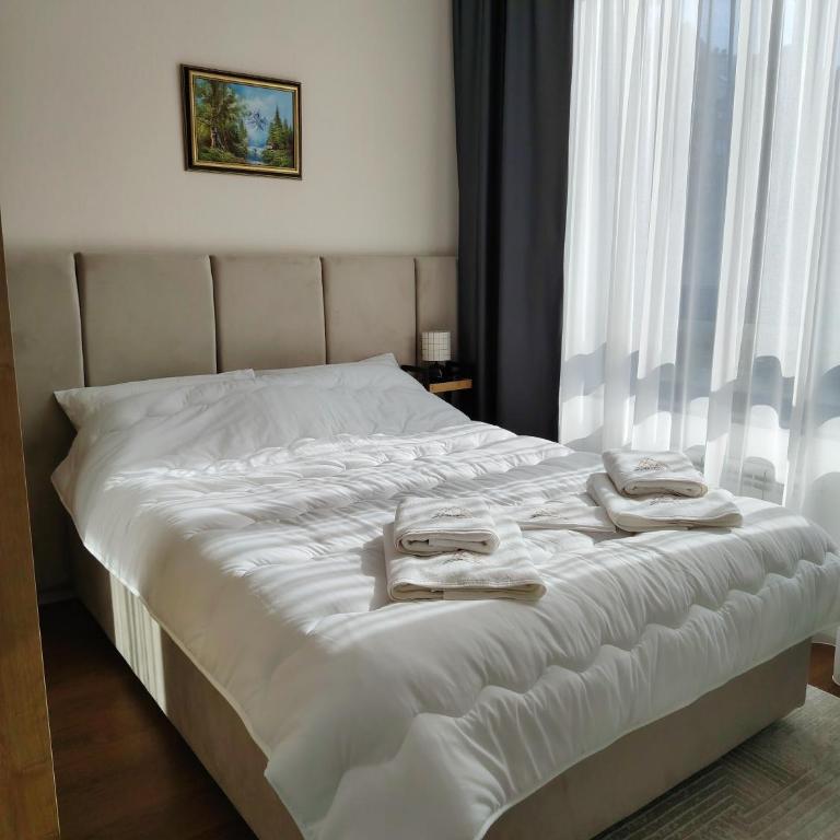 New Apartment Moderna SPA&FUN Zlatibor Centar - Apartment - 23