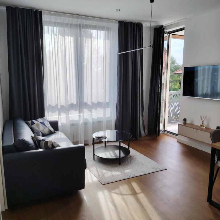 New Apartment Moderna SPA&FUN Zlatibor Centar - Apartment - 9