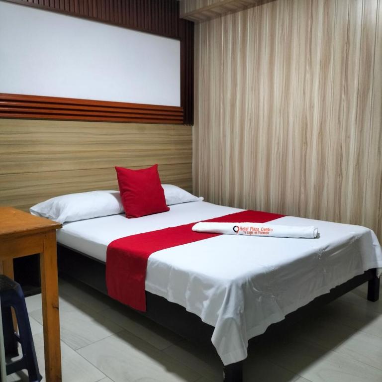 Hotel plaza centro - Habitación con cama grande - 9