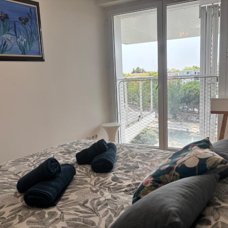 Beau T2 au bord du Lez - Appartement 1 Chambre avec Terrasse - 11