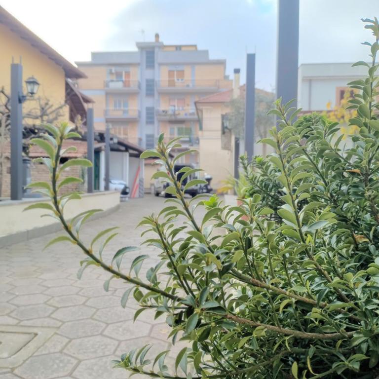 Casetta Trionfale - Apartment mit 1 Schlafzimmer - 16
