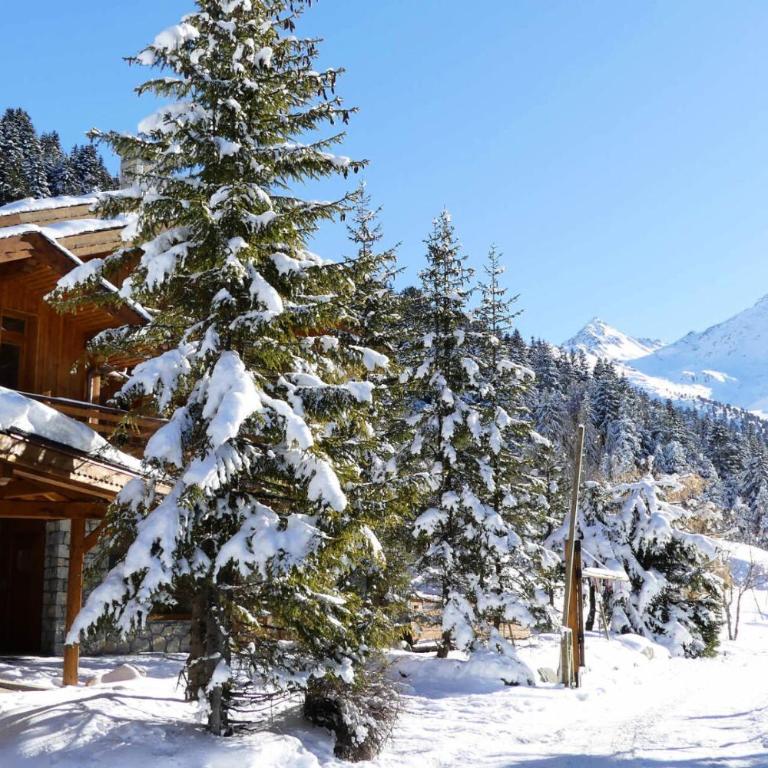 Résidence Cairn De Tueda - CHARMANT 2 PIECES DANS UN CHALET INDIVIDUEL MAE-7502 - Appartement - 7