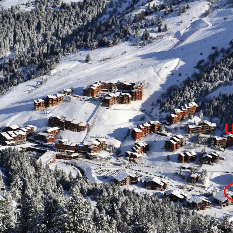 Résidence Cairn De Tueda - CHARMANT 2 PIECES DANS UN CHALET INDIVIDUEL MAE-7502 - Appartement - 8