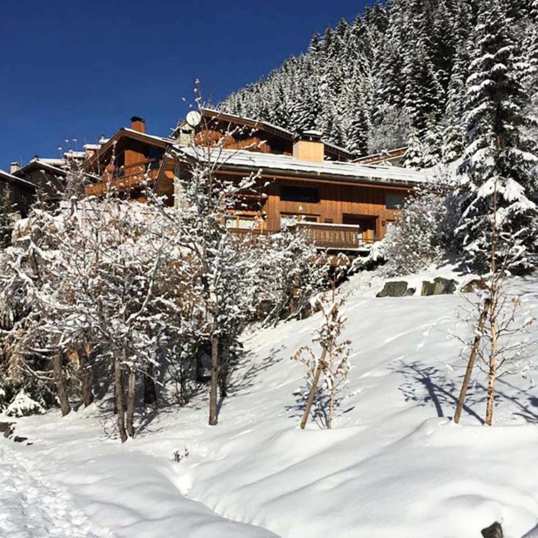 Résidence Cairn De Tueda - CHARMANT 2 PIECES DANS UN CHALET INDIVIDUEL MAE-7502 - Appartement - 9