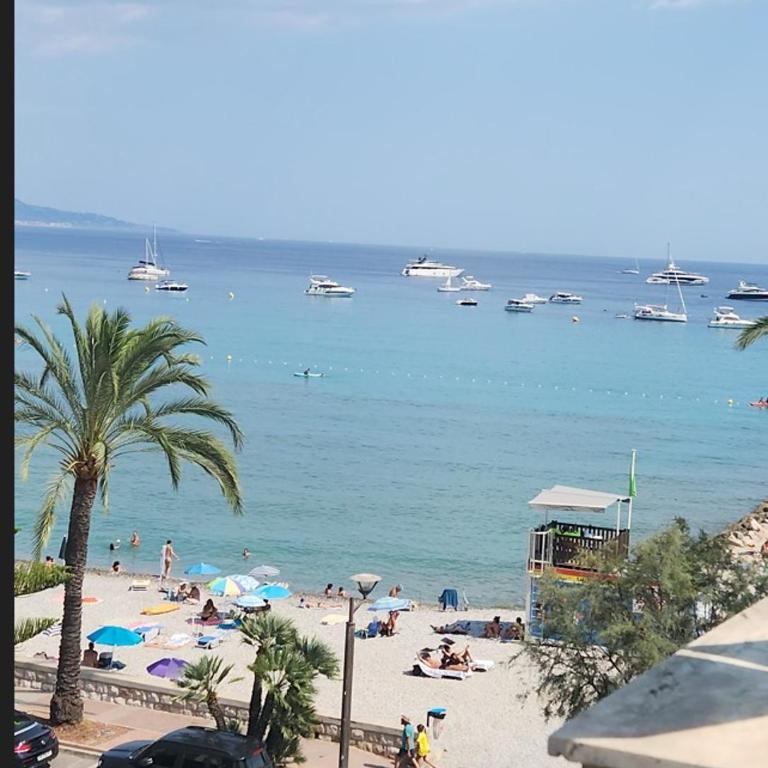 Sea Front Madame blue 4-star two-room in ecological health design - Appartement 1 Chambre - 10