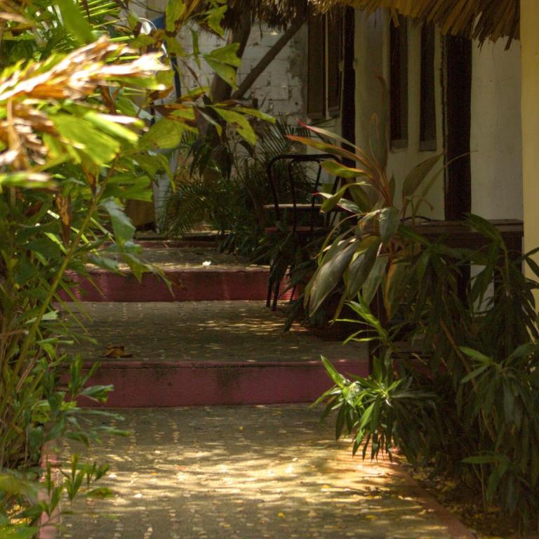 Shalom Backpacker Hostel - Bungalow con ventilador - 6