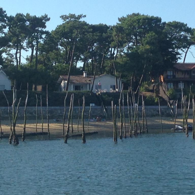 Magnifique grand plain-pied à 50 m de l'océan, plage surveillée de l Horizon, Cap Ferret Centre - Maison 3 Chambres - 3