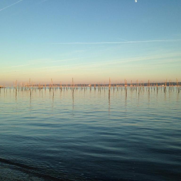 Magnifique grand plain-pied à 50 m de l'océan, plage surveillée de l Horizon, Cap Ferret Centre - Maison 3 Chambres - 7