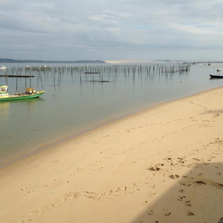 Magnifique grand plain-pied à 50 m de l'océan, plage surveillée de l Horizon, Cap Ferret Centre - Maison 3 Chambres - 14