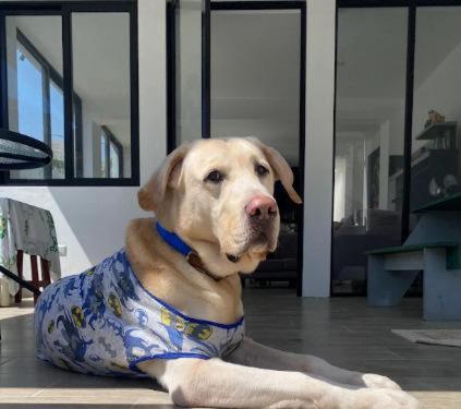 La Casa Bella De Lunahuana - Casa de 2 dormitorios - 10