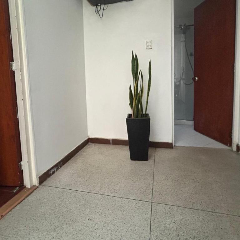 BackPack and Family Hotel - Apartamento con vistas al parque - 14