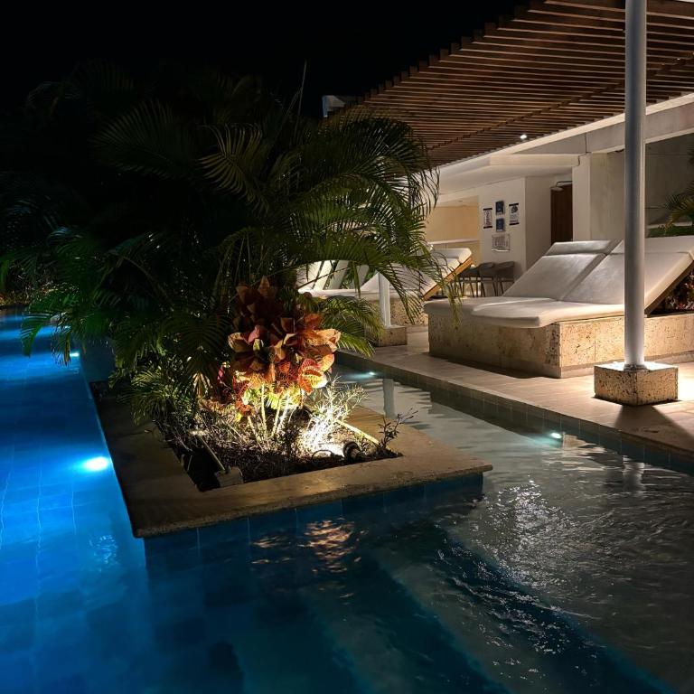 Luxury Calma Tropical - Apartamento de 1 dormitorio - 3