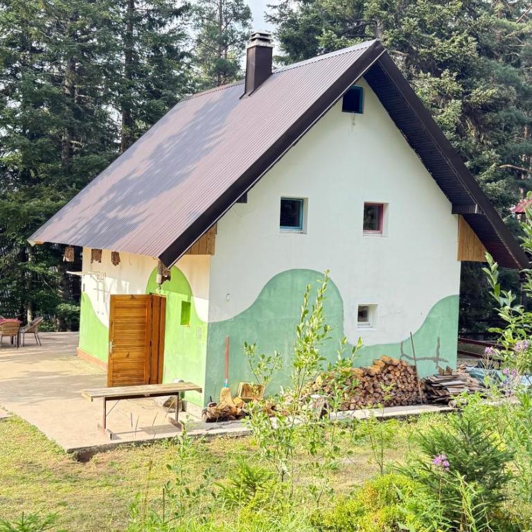Blueberry Mountain House - Two-Bedroom House - 2
