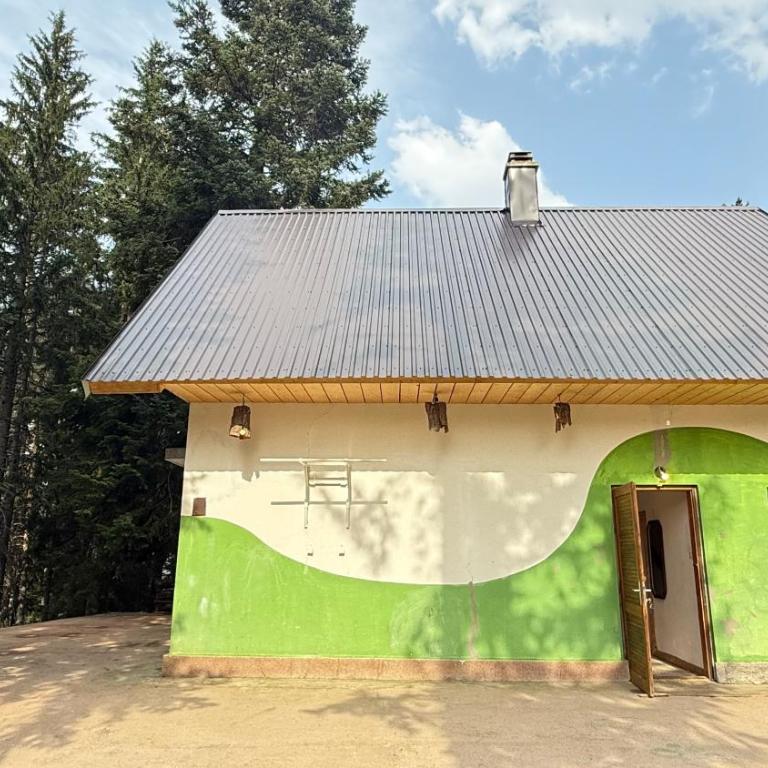 Blueberry Mountain House - Two-Bedroom House - 20