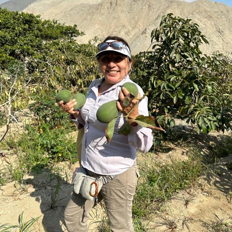La Casa Bella De Lunahuana - Casa de 2 dormitorios - 23