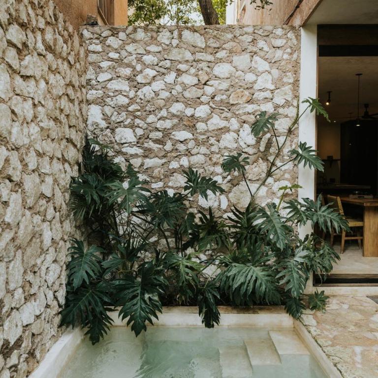 Jungle Apartment with Private Plunge Pool - Apartamento - 16