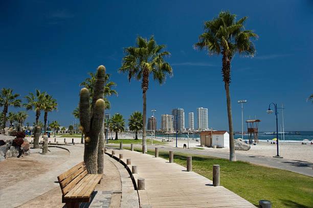 DEPARTAMENTO NEO dos dormitorios con vista al mar - Two-Bedroom Apartment - 19
