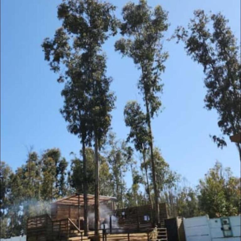 Casa Bosque Horcon - Casa con 1 dormitorio - 17