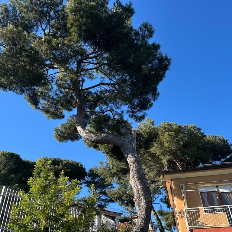 Villa dei Pini Andora - Villa con Vista Mare - 15