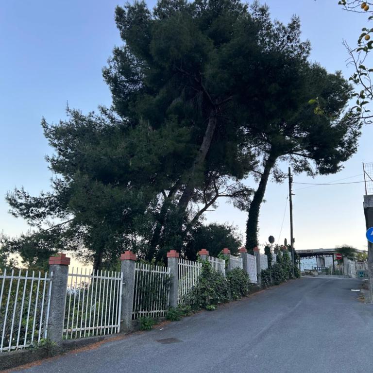 Villa dei Pini Andora - Villa con Vista Mare - 22