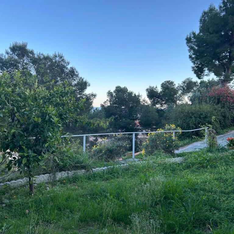 Villa dei Pini Andora - Villa con Vista Mare - 33