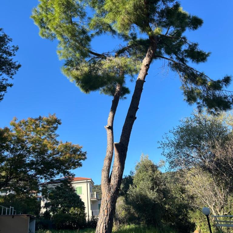 Villa dei Pini Andora - Villa con Vista Mare - 44