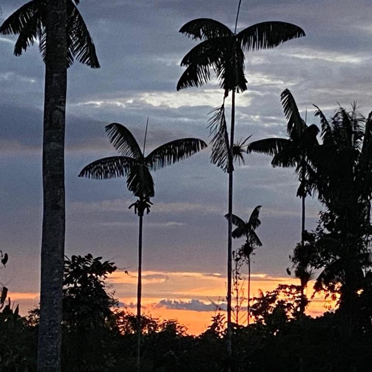 quinta el shaddai - Casa de 4 dormitorios - 28