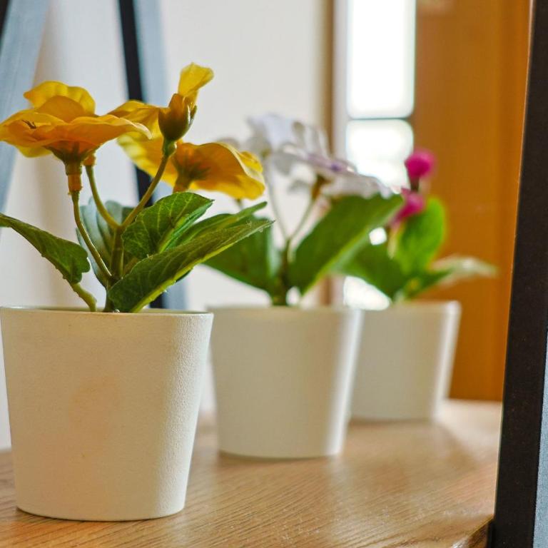 Cartagena WOW Ocean View, Rooftop Pool, Gym & Desk - Apartamento de 2 dormitorios - 51