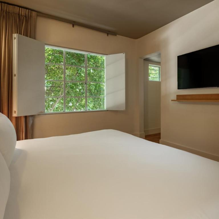 Cholula Condesa Hotel by Lumina - Deluxe King Room - 4