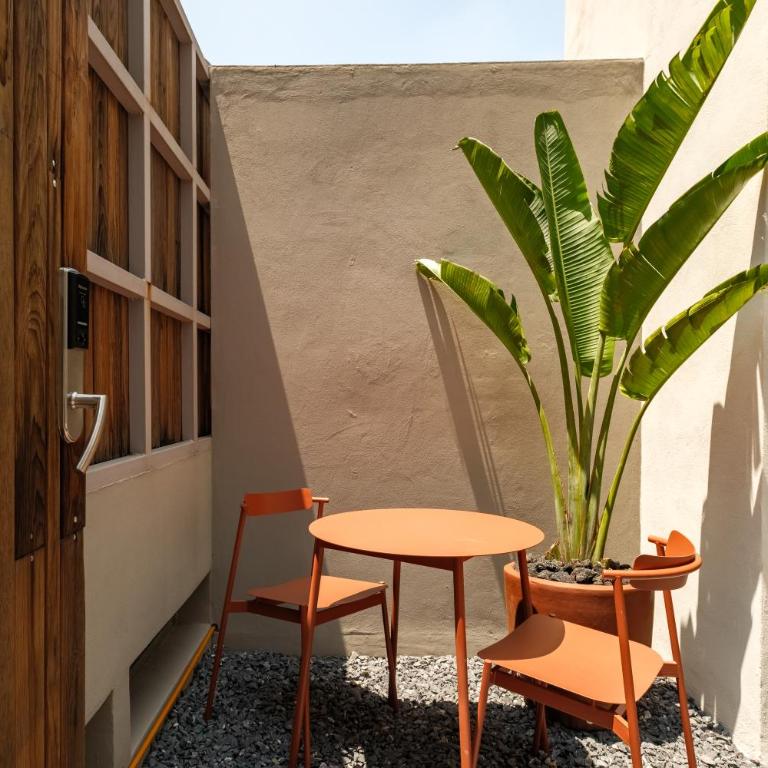Cholula Condesa Hotel by Lumina - Deluxe King Room - 7