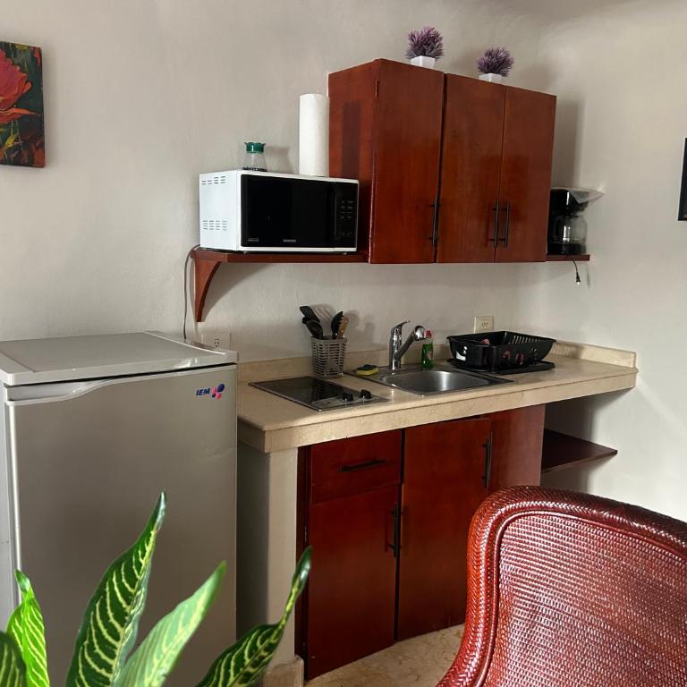 Ángel azul 16 pasos de la playa - Apartamento de 1 dormitorio - 12
