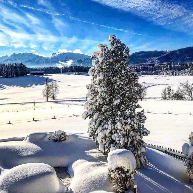 Alpen Panoramahof - Apartment mit 2 Schlafzimmern - 23