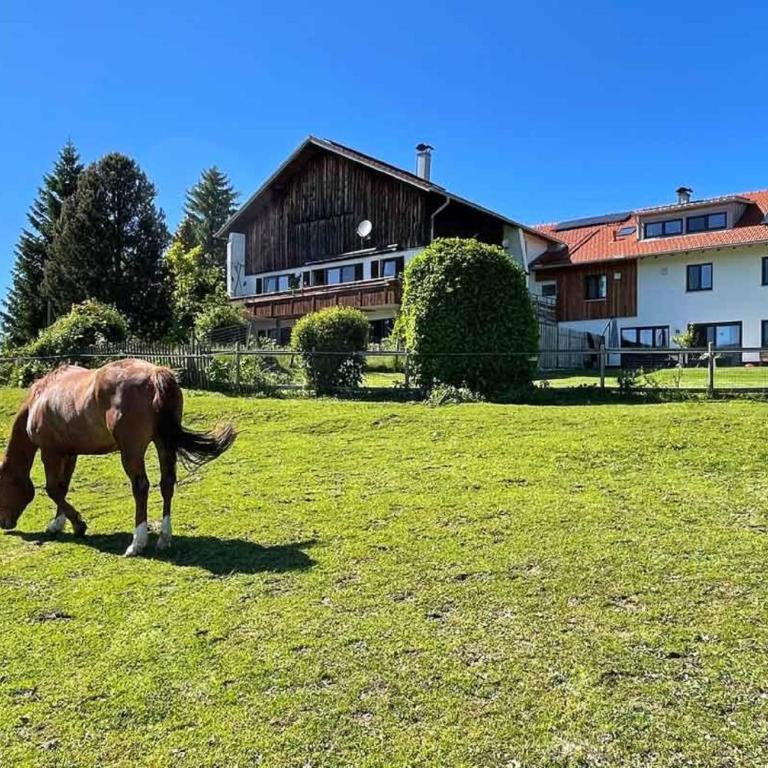 Alpen Panoramahof - Apartment mit 2 Schlafzimmern - 1