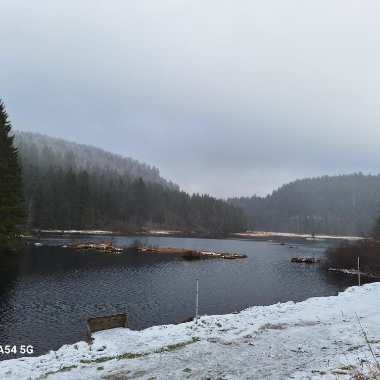 Appartement à La Bresse, proche des lacs, pistes de ski et randonnées - Appartement 2 Chambres - 15