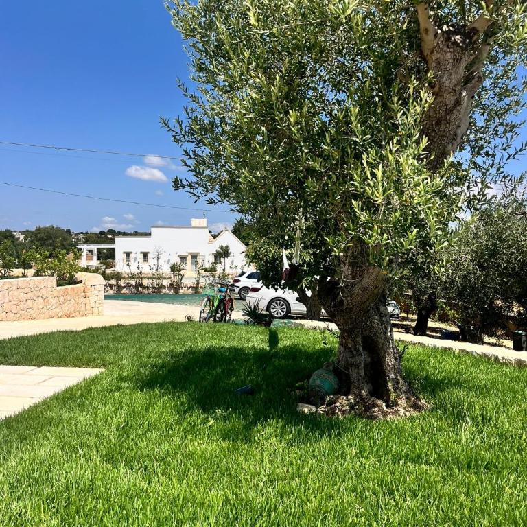 Villa Itriò - In the heart of Apulia - B&B - pool - rural experience - Camera Matrimoniale con Vista Piscina - 41