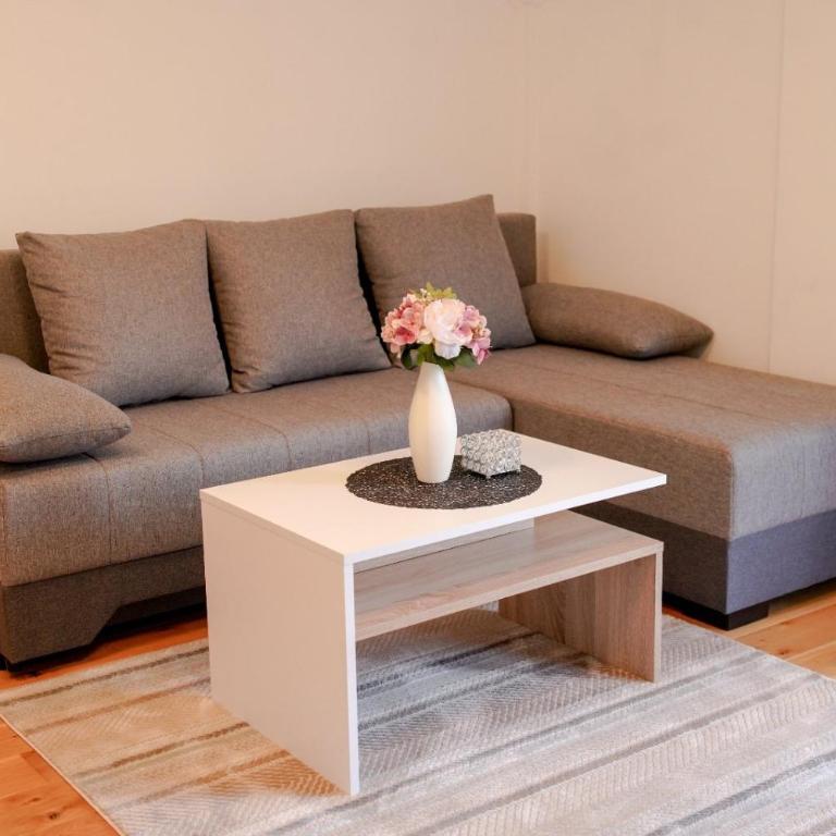 Apartman SAN - Apartman sa 1 Spavaćom Sobom - 12