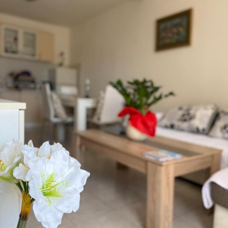 Coral apartment - Apartman sa 1 Spavaćom Sobom - 1