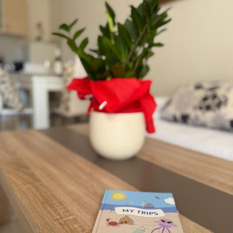 Coral apartment - Apartman sa 1 Spavaćom Sobom - 4