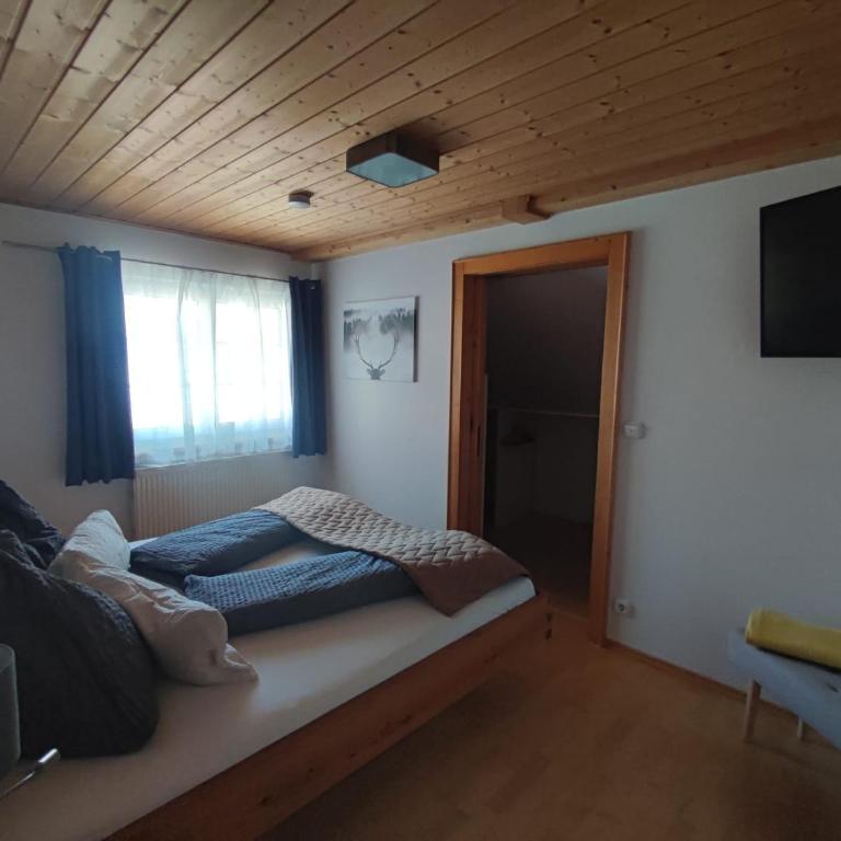 Haus Schatzl - 2 Apartments 50 oder 95 m2, Gartenbereich und Baden im Fluss - Apartamento - 2 niveles - 18