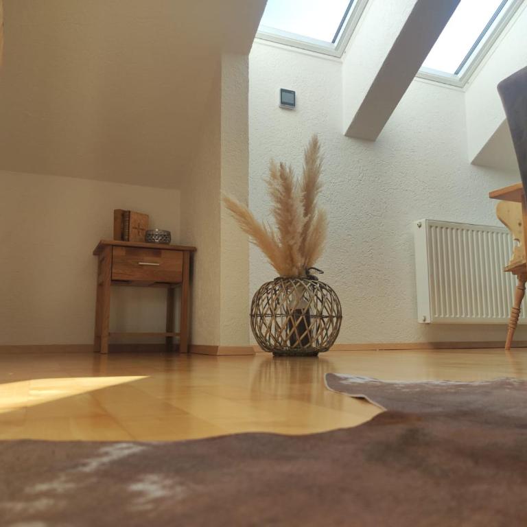 Haus Schatzl - 2 Apartments 50 oder 95 m2, Gartenbereich und Baden im Fluss - Apartamento - 2 niveles - 31