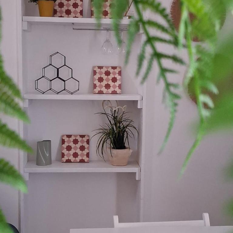 Il Pomo Bianco - Casa Vacanze - 22