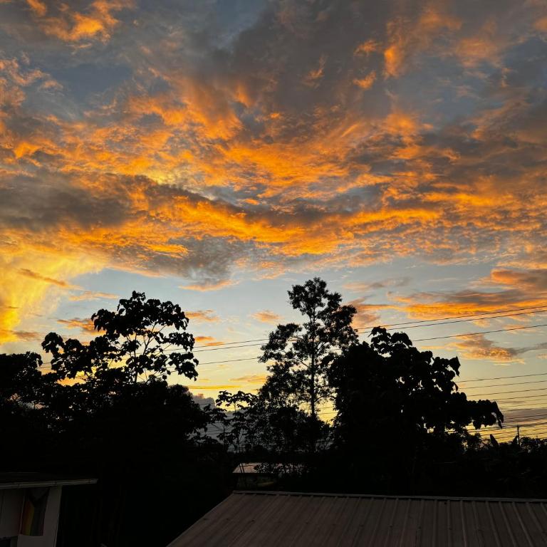 Departamento 2 habitaciones- Piscina, Botánico, BBQ, Terraza - THE GARDEN HOUSE - Two-Bedroom Villa - 36