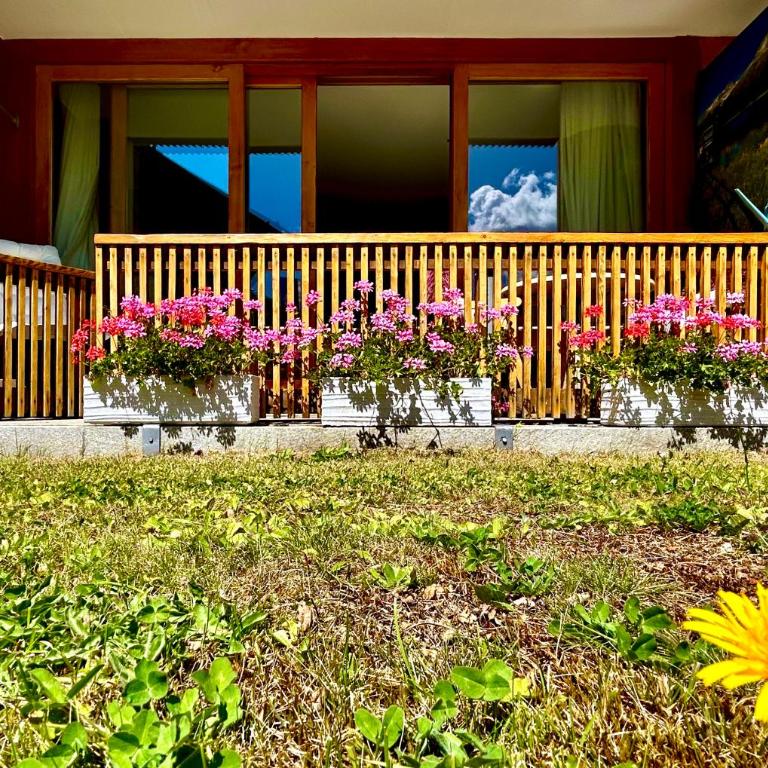 Alpine Studio Apartment - Apartment mit 1 Schlafzimmer - 14