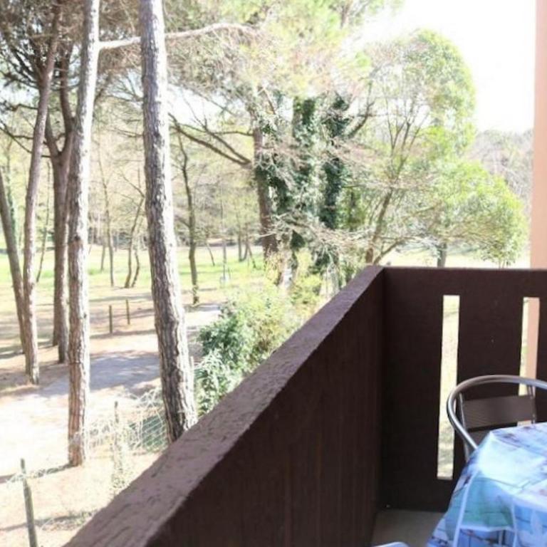 Seaside flat in a green and quiet area - Appartamento - 12